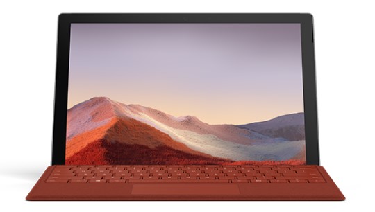 北镇清洁和维护 Surface